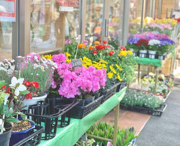 東京都小金井市の花屋 花好にフラワーギフトはお任せください 当店は 安心と信頼の花キューピット加盟店です 花キューピットタウン